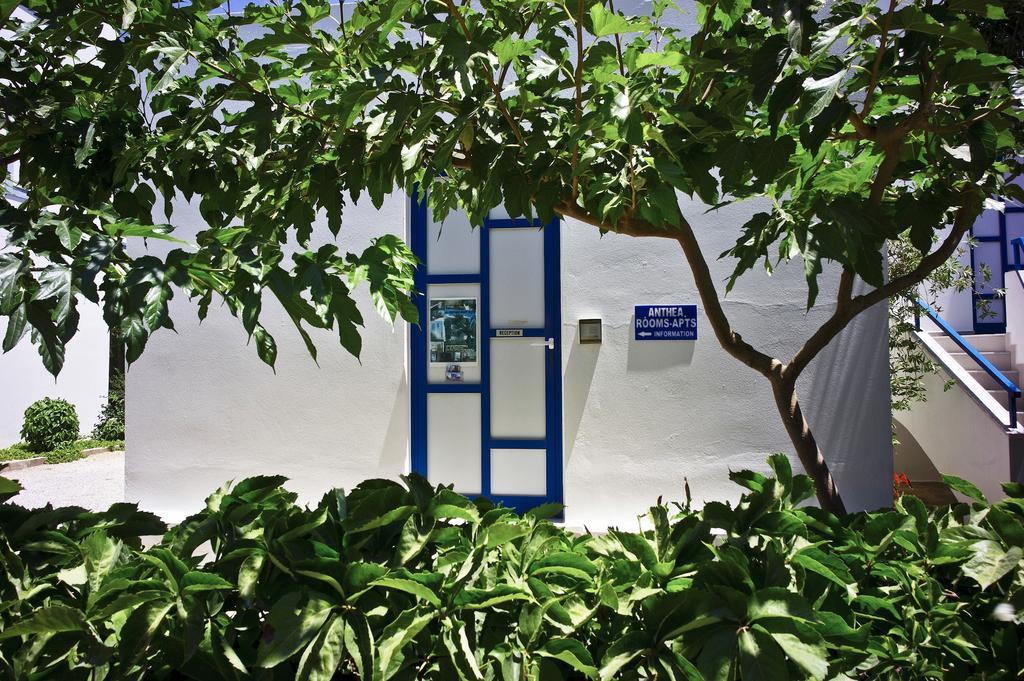 Anthea Apartments Palaiochora Exterior foto